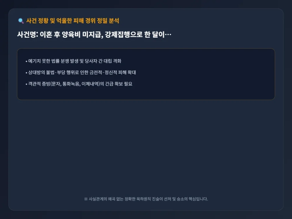이혼 후 양육비 미지급 사건 정황 시각화 타임라인